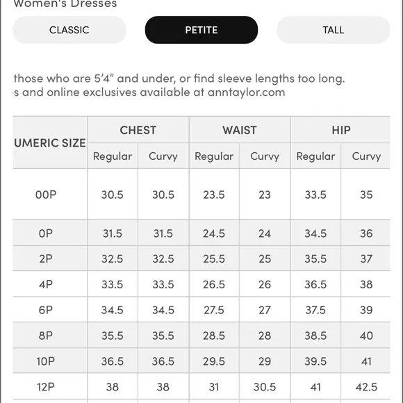 Ann Taylor Flap Pocket Shift Dress - Picture 9 of 9